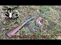 Squirrel Hunt, with a Henry  22LR