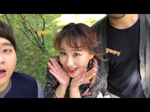 [LIVE] 어반자카파 - Just A Feeling (피크닉라이브)