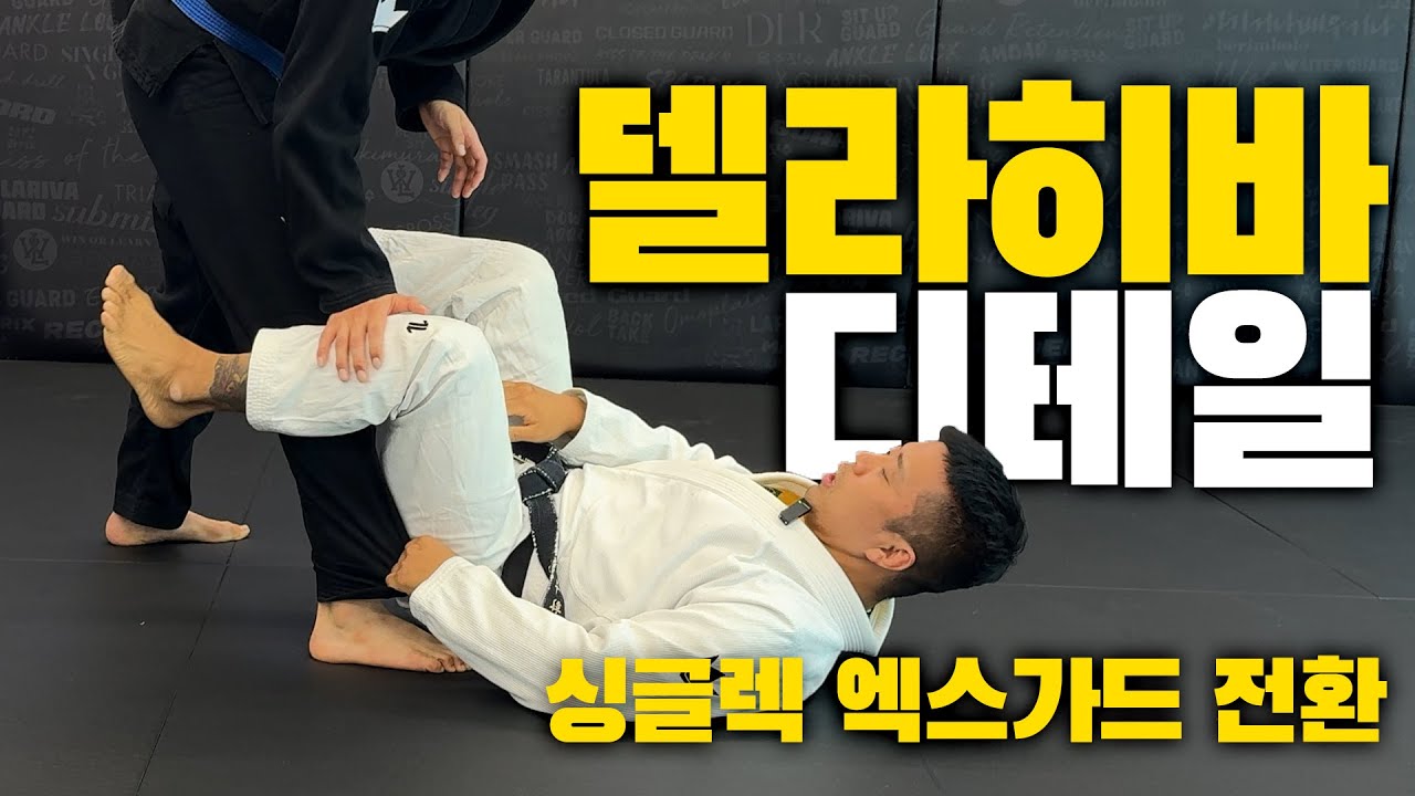 델라히바는 디테일이 중요해 - 싱글렉 엑스가드 스윕까지