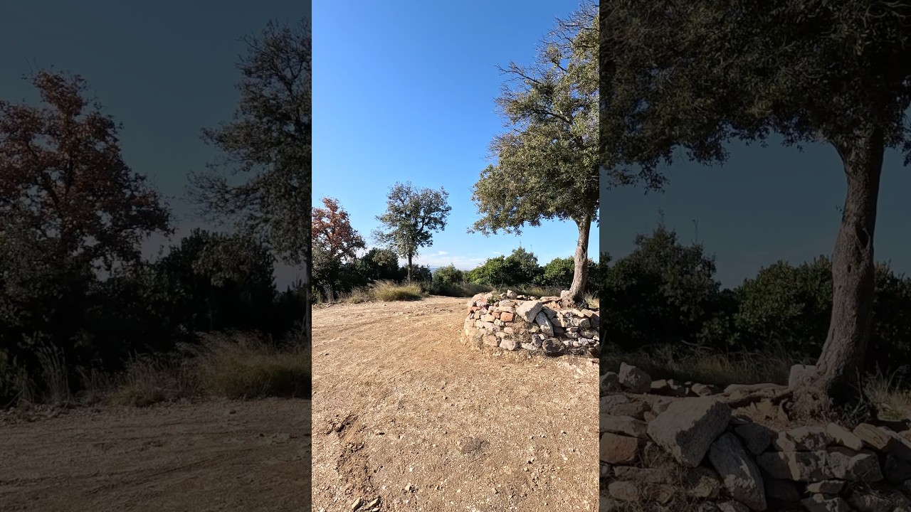 Mont Rodon Matadepera mtb 