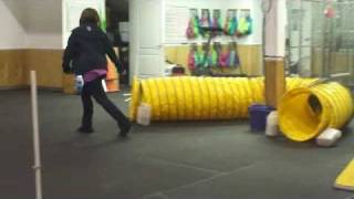 Intermediate 1  Agility Class: Week 2!