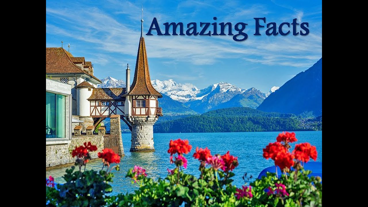 Amazing Facts In Hindi YouTube
