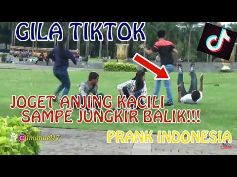 Gila TIKTOK joget ANJING KACILI ft channel project flem with yeni wa - PRANK INDONESIA