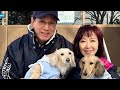 【ほっこり新春】⛩️✨伍代夏子、今年も一家で初詣🐕💖 夫・杉良太郎&愛犬との幸せ家族ショットに「ステキな家族」の声