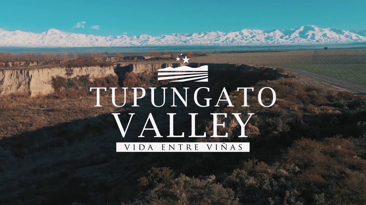 Tupungato Valley - Vida entre Viñas - YouTube