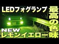 この色味…最高に良い‼️レモンイエローフォグ‼️これは…必見です‼️【LEDフォグランプ】