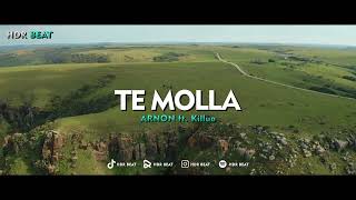 DJ SLOW VIRAL TIKTOK !!! HDR BEAT - TE MOLLA (Slow Remix)