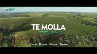 DJ SLOW VIRAL TIKTOK !!! HDR BEAT - TE MOLLA (Slow Remix)