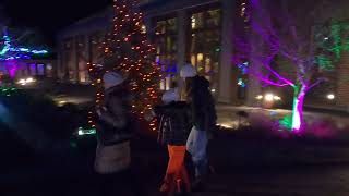 Tower Hill Botanic Garden - Night Lights: Starry Skies (2023)