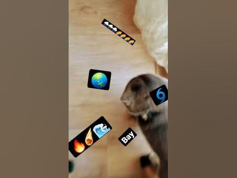вау🌏🌏🌏🌏🌏🌏🌎🌎🌍🌎🏖🏘🏖🏖🏛🏜🏟🏝🏣🏝🏛☔ ☄️☃️🔥☃️💧🔥💧🌗🌠🌛🌠☀️🌡☁️⛈️⛈️🕓🕖🕔🕞🕗🕢🕜🕞🕢🕣 - YouTube