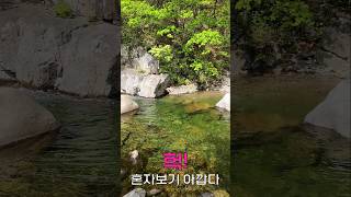 헉! 7080 세상에 이런 노래가 있었다니..............정의송 트로트 메들리 노래모음 - 간대요글쎄 - 혼자보기 아깝다