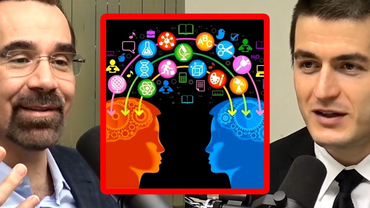 David Ferrucci: AI Understanding the World Through Shared Knowledge Frameworks | AI Podcast Clips