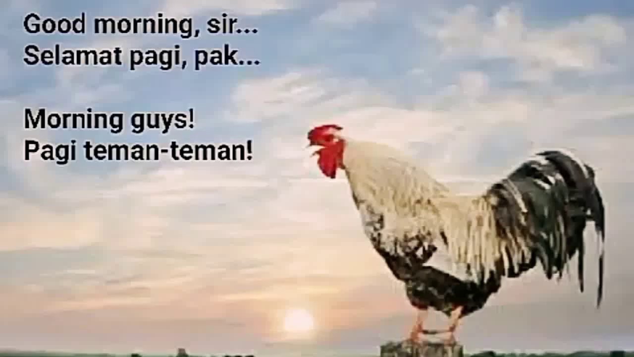 Translate selamat from indonesian