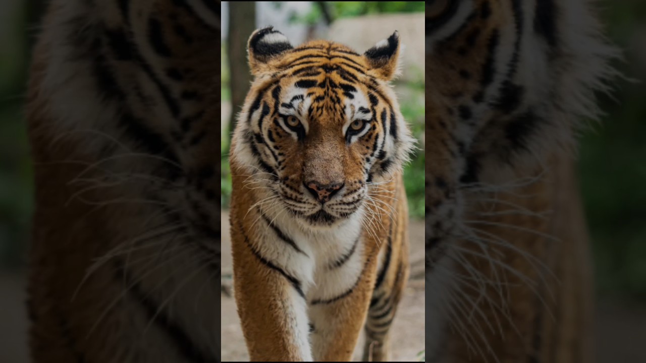 Now vs Million year back 