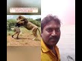 LION FRIEND MAN 💪 #wildliferescue #animals #lion  #monkey #cute #dog #love