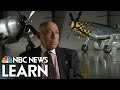 Tuskegee Airmen and Their Role in WWII
