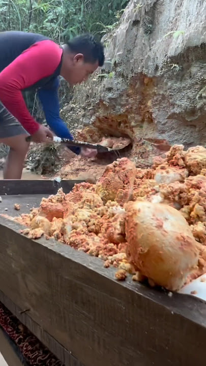 GEMPAR..! SEORANG PEMUDA TEMUKAN TUMPUKAN EMAS DALAM TANAH#shorts #shortvideo