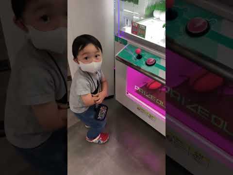 子供 ヘラクレス ゆきそた Ufoキャッチャー Shorts