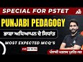 Pstet punjabi  punjabi pedagogy       most expected mcqs  by puneet sir