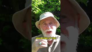 Rekindling old relationships can be a beautiful journey that enriches our understanding of ourselves