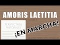 Amoris Laetitia, capítulo 6