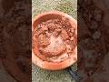 #oddlysatisfying #minisatisfying #creativeclayideas #viral #asmr#shorts#shortsfeed