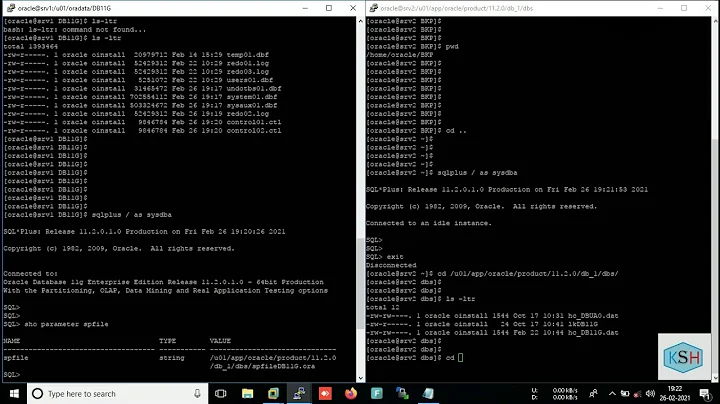 Restore Oracle Database using COLD FILESYSTEM backup