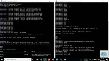 Restore Oracle Database using COLD FILESYSTEM backup