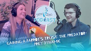 Gaining a Parrot’s Trust: The Predator-Prey Dynamic | Parrot Stars Podcast