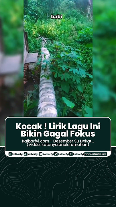 Kocak ! Lirik Lagu Ini Bikin Gagal Fokus..