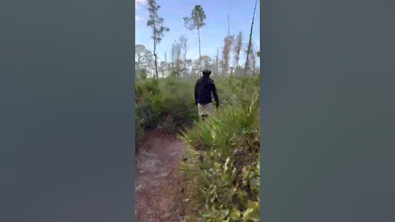 Electric unicycle trail riding at starkey park. YouTube