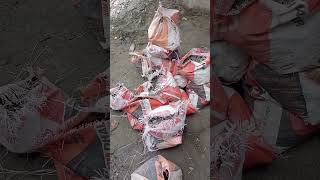 Pulling Heavy Bags with Rope for Roof Work | Real Labour Hard Work #hardworkworks #vlog
