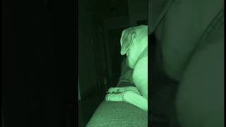 Download Lagu “Paranormal Shadow in the Hallway — Watch Closely.” MP3