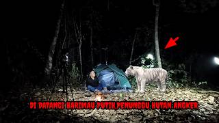 HORROR‼️VISITED BY THE WHITE TIGER, GUARDIAN OF THE HAUNTED FOREST