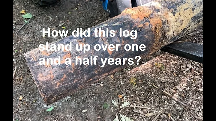 Did Yakisugi or Shou Sugi Ban actually protect my wood from rot or deterioration? How effectively?