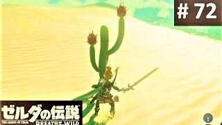 【ビリビリフルーツを探して : グコ・チセの祠】攻略 ゼルダの伝説 ブレスオブザワイルド #72　