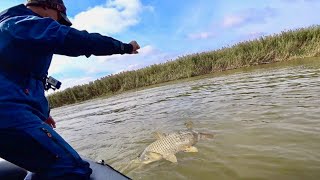 БРОСИЛИ САМОЛОВКИ ПОД КАМЫШ! Утром ЖДАЛ БОНУС! Рыбалка на спиннинг.