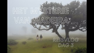 Het Mysterie Van Madeira F Forest Roadtrip Reisvlog Dag 3