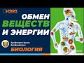 Биология. Обмен веществ и энергии