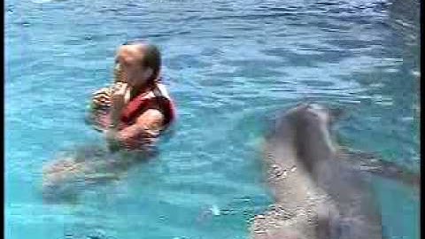 LOGICAL VOLUME IDENTIFIER Title 01 01