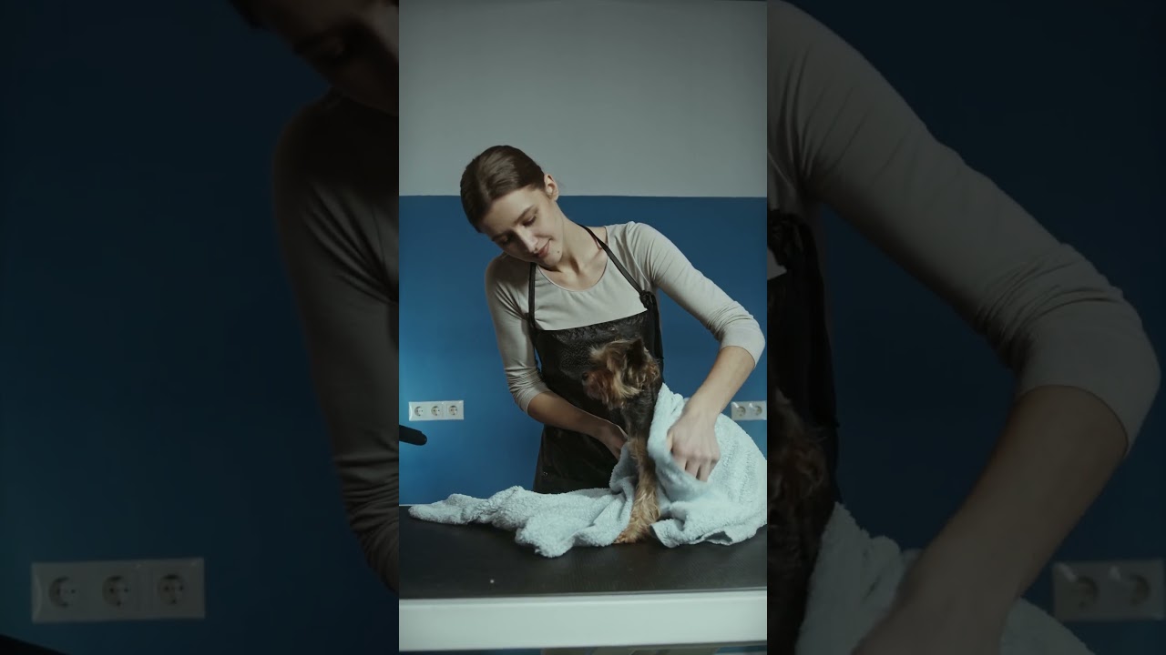 One Line That Triggers Trust 