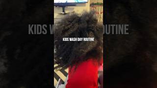 Natural Hair Wash Day Routine #naturalhaircare #washdayroutine #naturalhair