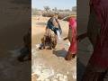 تدفق الماء قصة السيطرة والحكمة