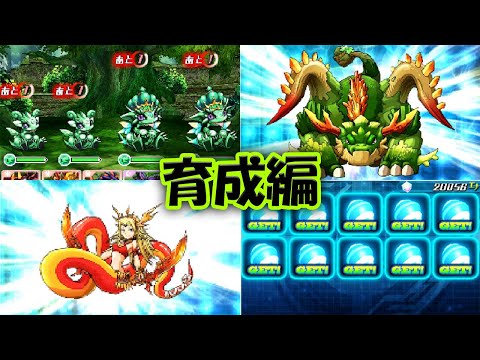 パズドラZ メガハウス パズドラコレクション パズドラZ 8個入り1BOX
