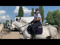 Конная полиция 👮🏽‍♀️ 🐎