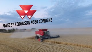 Massey Ferguson 9560 Combine Harvest 2020