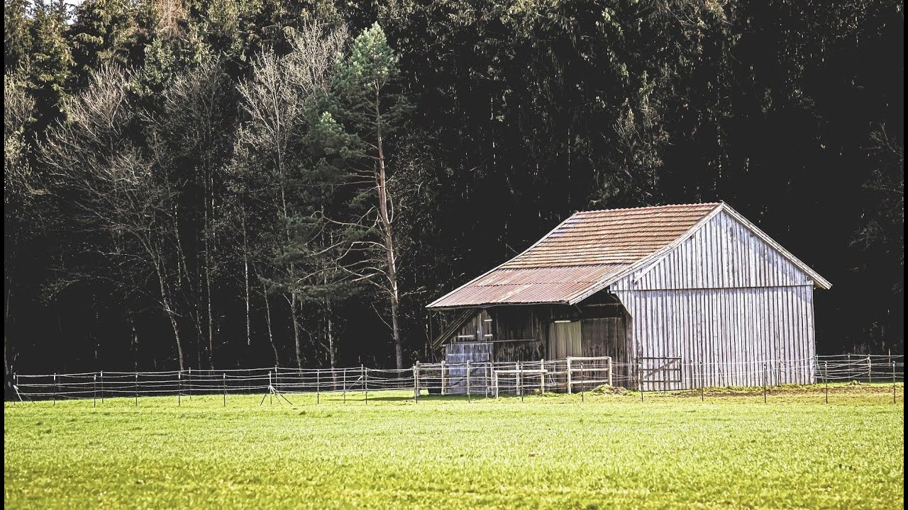 Piano Folktronica, Country Beat, Vlogs [No Copyright Sound] [ FREE USE MUSIC ] - Awakening