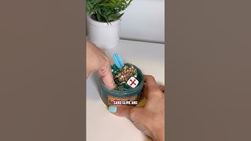 Fantastic #slime by ​⁠@slime_og  I LOVE this one. #sandslime #clearslime #slimereview