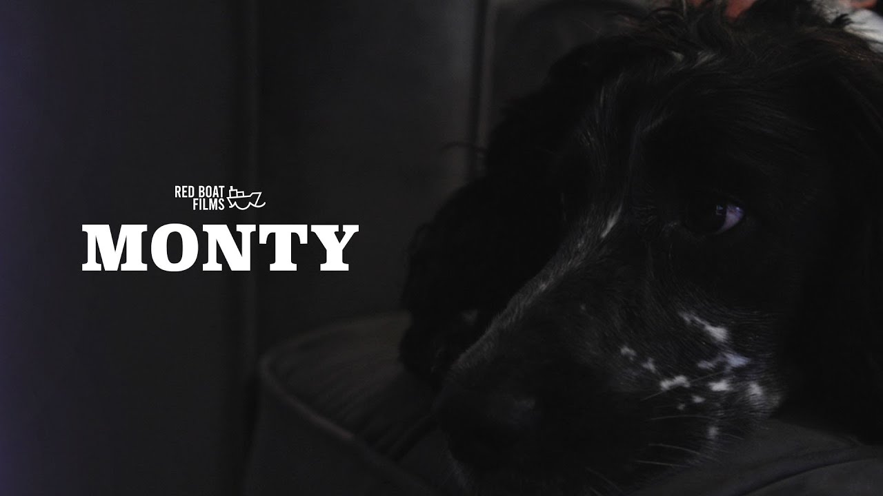 MONTY - A Short Documentary