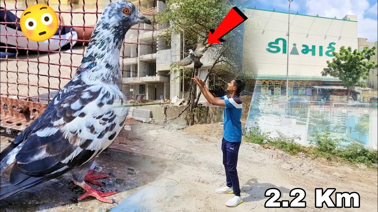 2.2 Km Dur Se  Kya Ye Aa Payega 🤨